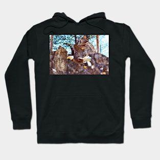 Soaring Eagle Hoodie